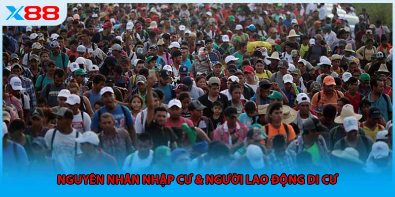 Nguyên nhân nhập cư và người lao động di cư